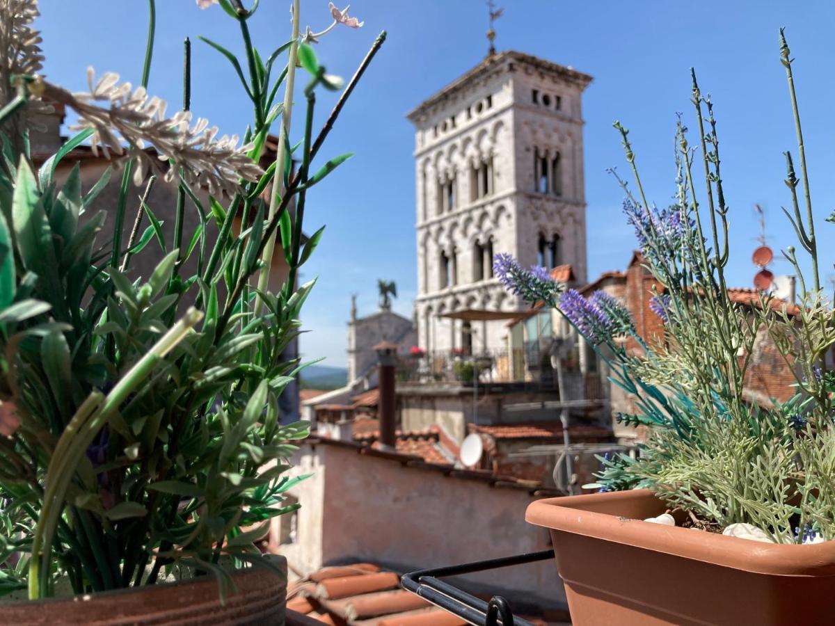 Terrazza San Michele - Affitti Brevi Italia Apartment Lucca Exterior photo